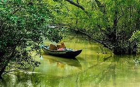 Kolkata Sundarbans Tour